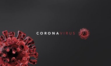 രാജ്യത്ത് ഇന്ന് 11,067 പേര്‍ക്ക് കോവിഡ്, 94 പേര്‍ മരിച്ചു