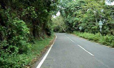 റാന്നി മണ്ഡലത്തിലെ ഗ്രാമീണ റോഡുകളുടെ പുനരുദ്ധാരണം : രണ്ടു കോടി രൂപ അനുവദിച്ചു