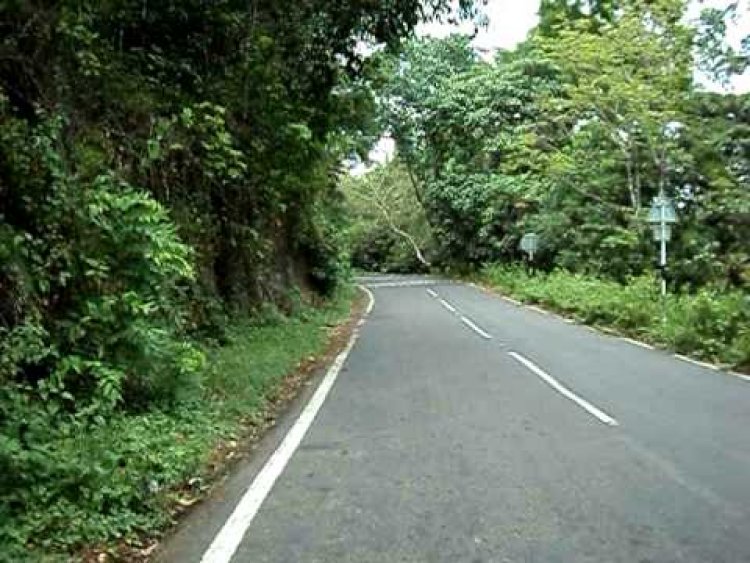 റാന്നി മണ്ഡലത്തിലെ ഗ്രാമീണ റോഡുകളുടെ പുനരുദ്ധാരണം : രണ്ടു കോടി രൂപ അനുവദിച്ചു