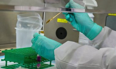 ലോക്ക്ഡൗണ്‍ ഇല്ല; കോവിഡ് പ്രതിരോധനത്തിനായി കര്‍ശന നിയന്ത്രണങ്ങള്‍, കൂട്ടപ്പരിശോധന