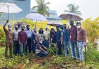 സൈബര്‍ പാര്‍ക്കില്‍ പരിസ്ഥിതി ദിനത്തോടനുബന്ധിച്ച് മരത്തൈകള്‍ നട്ടു