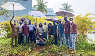 സൈബര്‍ പാര്‍ക്കില്‍ പരിസ്ഥിതി ദിനത്തോടനുബന്ധിച്ച് മരത്തൈകള്‍ നട്ടു